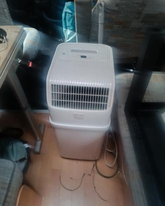 pinguino DeLonghi compact