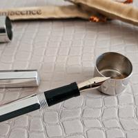 Montegrappa Reminiscence stilografica in argento 9