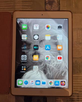 Ipad air 1 generazione