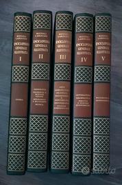Enciclopedia generale illustrata Rizzoli Larousse