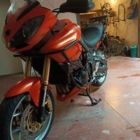 Triumph Tiger - 2009