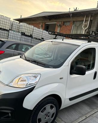 Fiorino