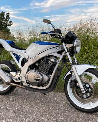 Suzuki GS 500