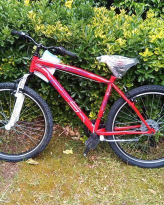 bicicletta mountain bike nuova/no spedizione