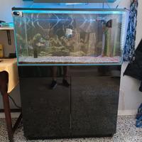 acquario completo wave