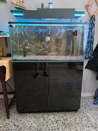 acquario completo wave