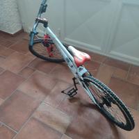 bicicletta MBT 