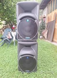 Mackie srm 450