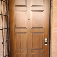 Porta Blindata 100x230 cm