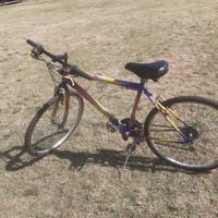 Mountain Bike a 100 euro trattabili