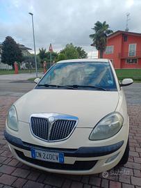 Lancia Y neopatentati