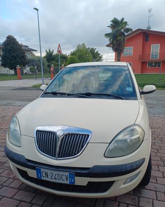 Lancia Y neopatentati