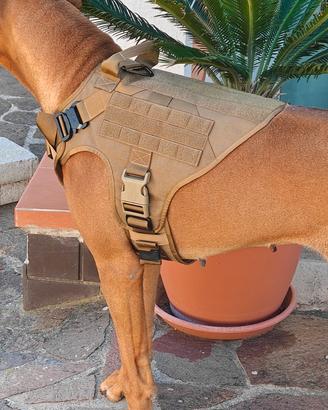 Pettorina Tattica militare Cane ICEFANG, taglia 