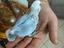 Immagine 2