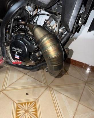 giannelli per beta rr