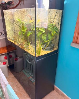 Acquario da 200 L