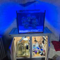 acquario marino