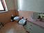 Immagine 28
