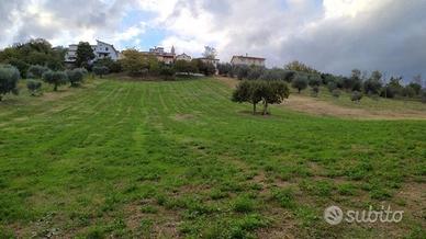 Terreno edificabile ,con terra agricola