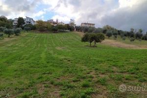 Terreno edificabile ,con terra agricola