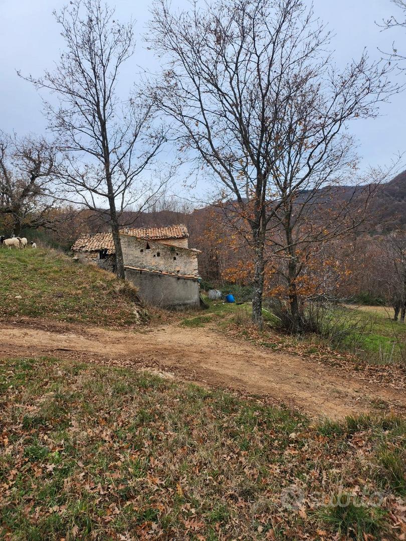 Casolare e terreno - Vista 4