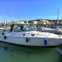 Pursuit os 335