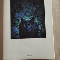 libro " Così per sempre "