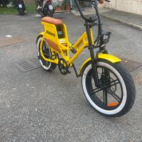 Bici elettrica