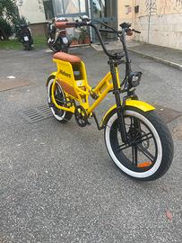 Bici elettrica