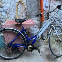 Bici passeggio da donna