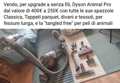 aspirapolvere dayson animal pro