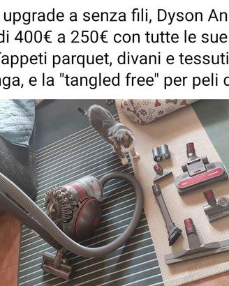 aspirapolvere dayson animal pro
