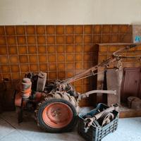 moto zappa pasquale 14 cavalli 