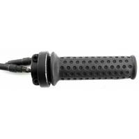 Comando gas Piaggio Typhoon 125 - CM079734