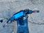 Immagine 5