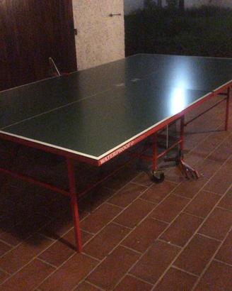Ping pong rovera