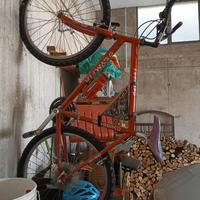 Mountain bike Olympia Leopard