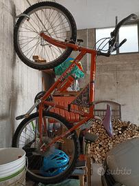 Mountain bike Olympia Leopard