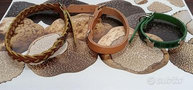 Collari Artigianali in Pelle per Cani da Tartufo