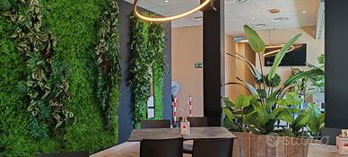 Attività ristorazione bar già avviata