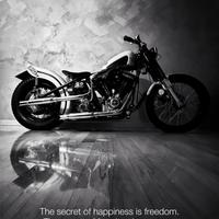 Harley-Davidson Altro modello - 1993