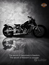 Harley-Davidson Altro modello - 1993