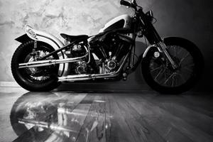 Harley-Davidson Altro modello - 1993