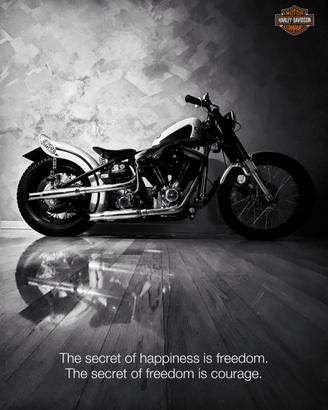 Harley-Davidson Altro modello - 1993