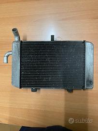 radiatore yamaha xmax 300 2019