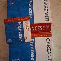 dizionario lingua francese