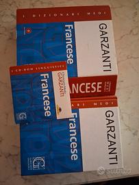 dizionario lingua francese