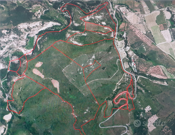 Terreno di 50 ettari