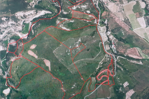 Terreno di 50 ettari