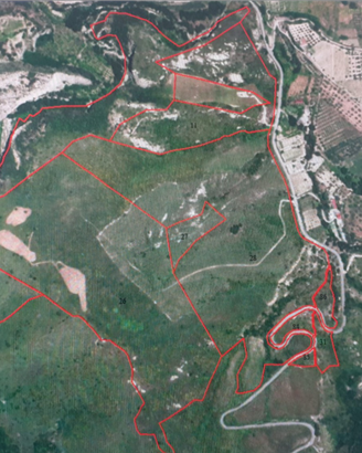 Terreno di 50 ettari